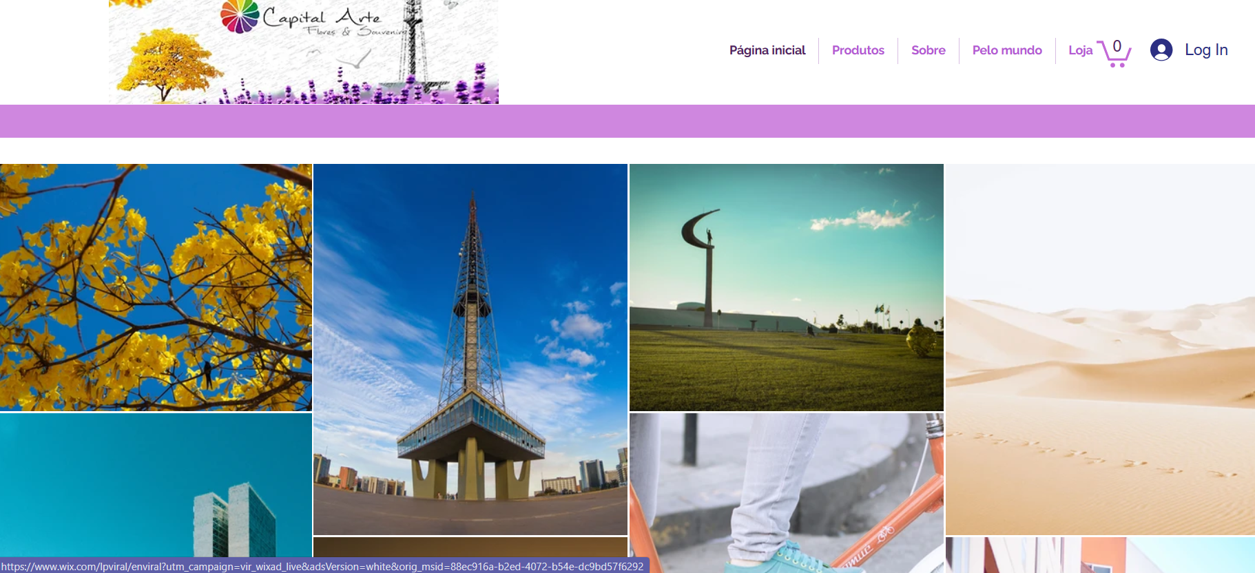 portfolio-large-05