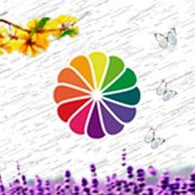 portfolio-large-04